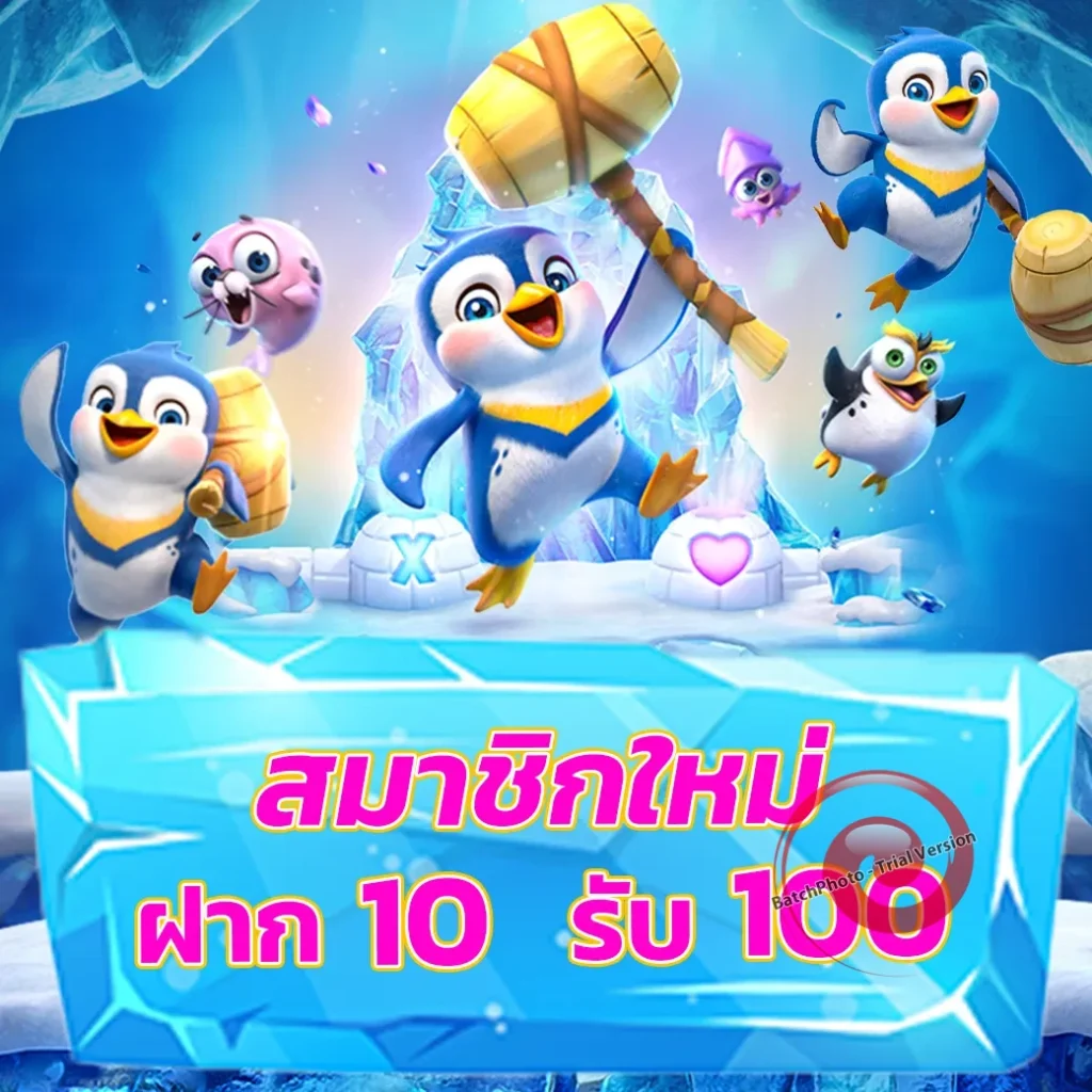 เว็บไทย เว็บสิงคโปร์